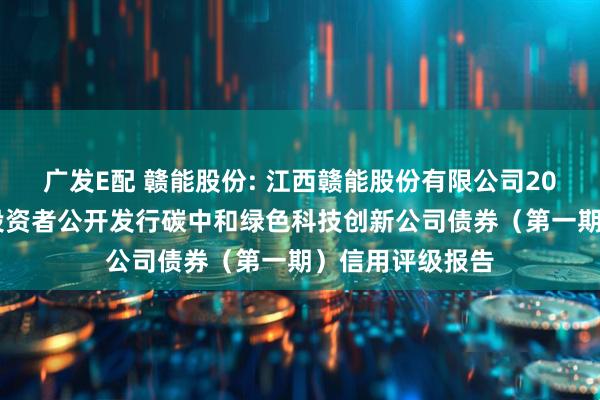 广发E配 赣能股份: 江西赣能股份有限公司2025年面向专业投资者公开发行碳中和绿色科技创新公司债券（第一期）信用评级报告